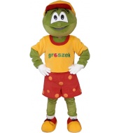 Groszek Groszek