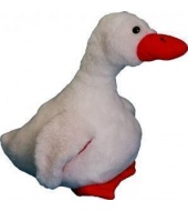 Gęś