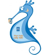 Konik morski EC Wybrzeże - projekt