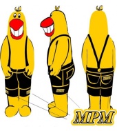 MPM - projekt