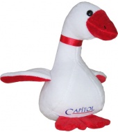 Gęś Capitol Gęś Capitol